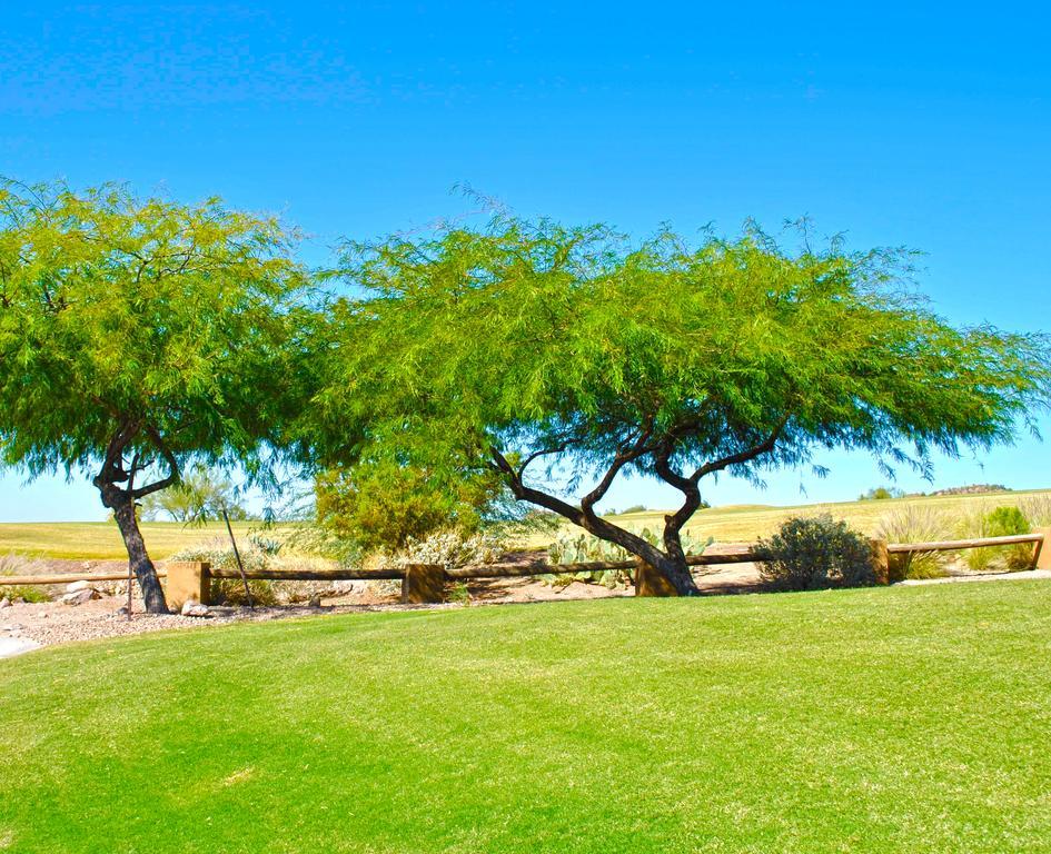 Gold Canyon Golf Resort Kamer foto